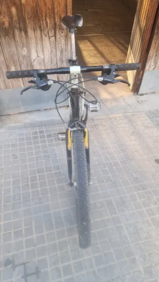 Bicicleta de Montaña