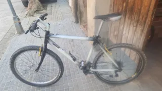 Bicicleta de Montaña