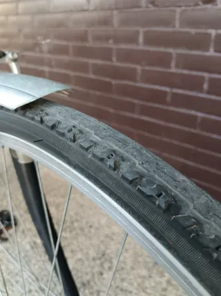 Bicicleta urbana Runfit WP005