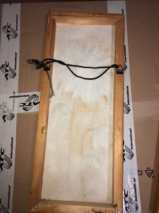 2 quadri olio girasoli su legno