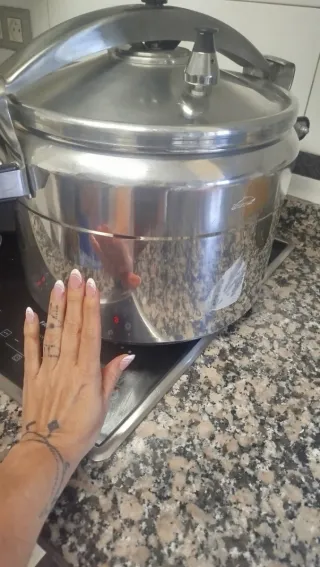 Olla industrial 15L a presión