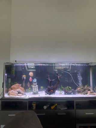 Acuario 200L con accesorios
