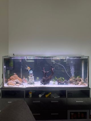 Acuario 200L con accesorios