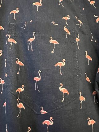 Camisa GAP flamencos azul