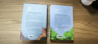 Aquella chica pelirroja - Aquel chico folk