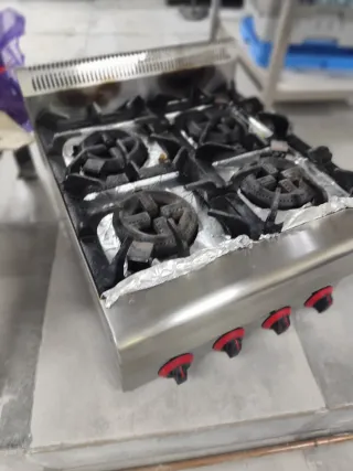 Cocina profesional 4 fuegos