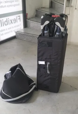 Conjunto de moisés y cuna de viaje