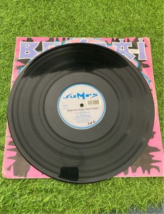 Vinilo Bonzai Jumps - Dream Your Dream