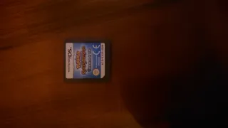 Pokémon Mystery Dungeon: Explorers of Time.