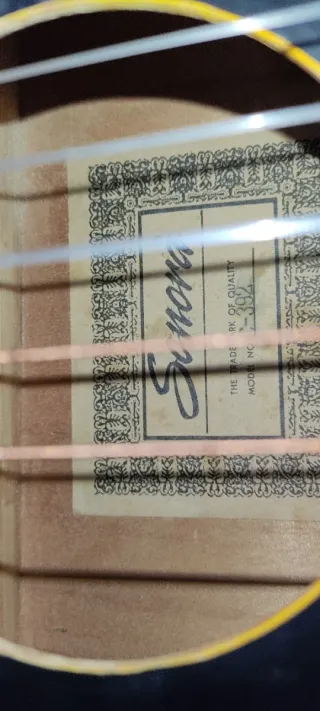 Guitarra Acústica Adulto Diseño Único