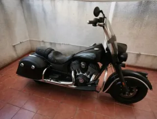 Indian Chief (Sprinfield) Dark Horse