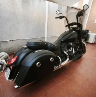 Indian Chief (Sprinfield) Dark Horse