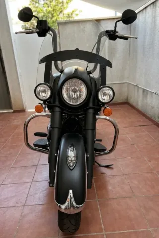 Indian Chief (Sprinfield) Dark Horse