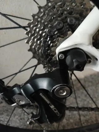 Bici da corsa Cannondale bianca e verde