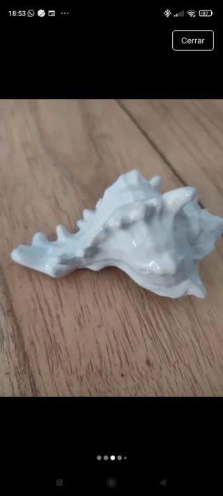 Conchiglie in ceramica