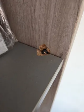 Cama tren litera con estantería y armario