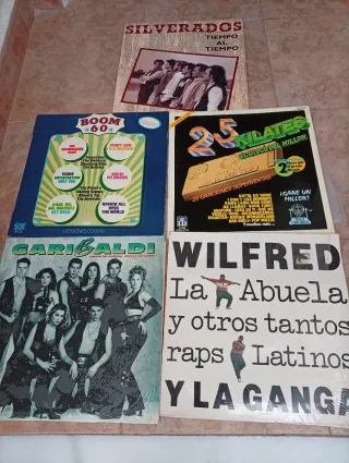 LOTE DISCOS VINILO.