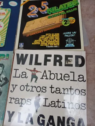 LOTE DISCOS VINILO.