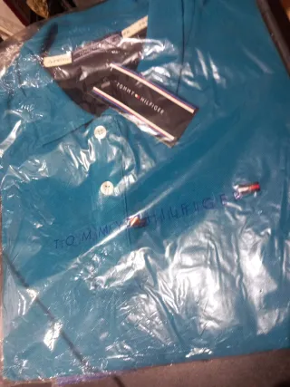 Polo Tommy Hilfiger Azul/Verde