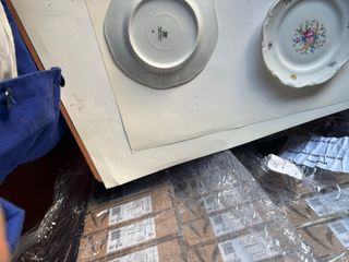 2 Platos de Porcelana Florales de 20 cms y 8 de 15