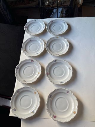 2 Platos de Porcelana Florales de 20 cms y 8 de 15