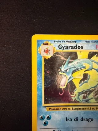 Gyarados 6/102 Set Base Holo Ita