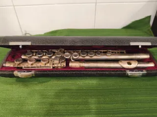 Flauta Lark M4009 Baño Plata