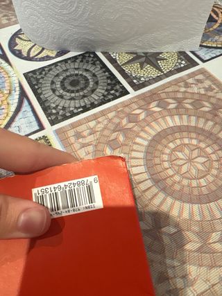 Tirant lo Blanc. Episodis amorosos