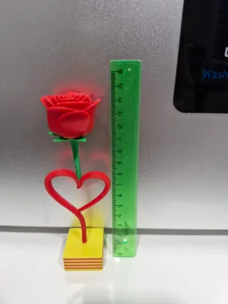 Rosa Corazón Sant Jordi 3D