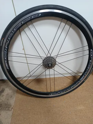 Ruedas Campagnolo Scirocco 35mm