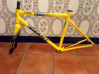 Giant TCR Cuadro y Horquilla