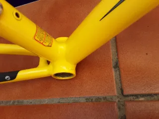 Giant TCR Cuadro y Horquilla