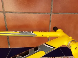Giant TCR Cuadro y Horquilla