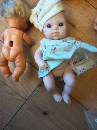 Lote Barriguitas y Jesmarin para restaurar