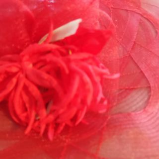 Cappello a tesa larga rosso