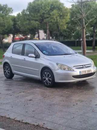 Peugeot 307 2002