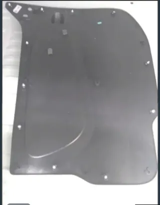 Panel Puerta Lateral Renault Trafic III