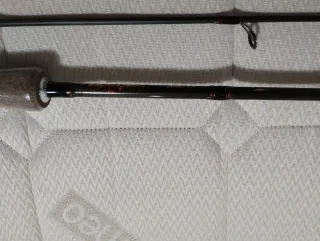 Canna da pesca Berkeley PER EGING E LIGHT SPINNIG