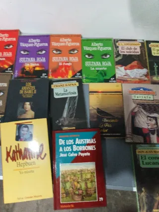 Lote libros