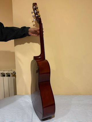 Guitarra Stagg con cuerdas nuevas
