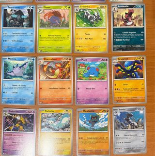 Lote Cartas Pokémon
