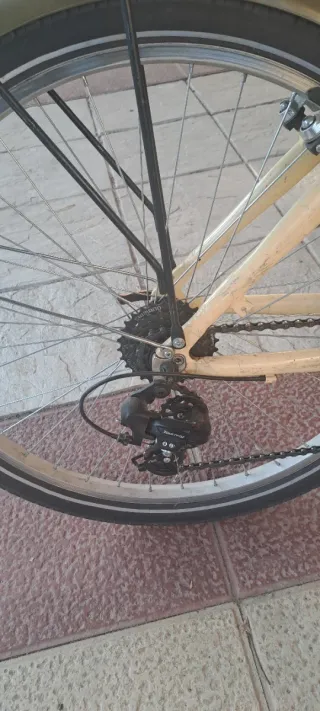 Bicicleta Urbana Couler