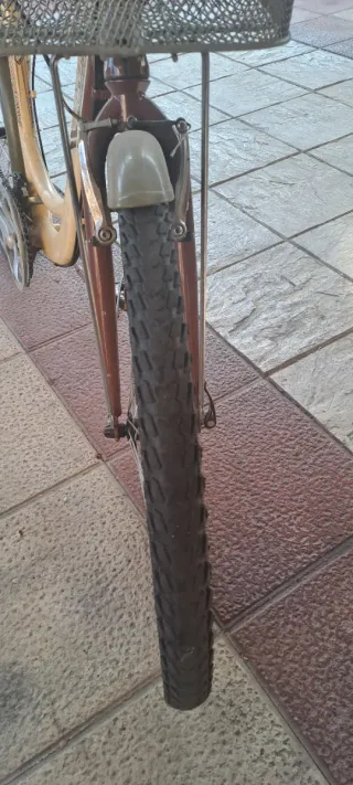 Bicicleta Urbana Couler