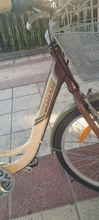 Bicicleta Urbana Couler