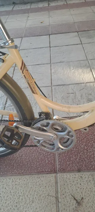 Bicicleta Urbana Couler