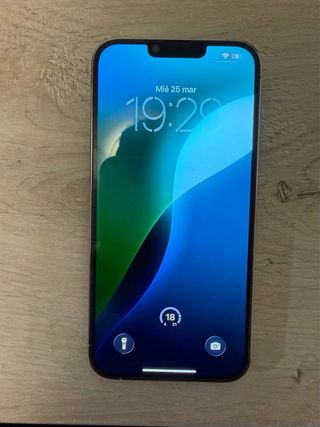 iPhone 13 Pro Max 256GB Plata