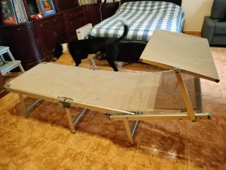 2 Tumbonas plegables con parasol