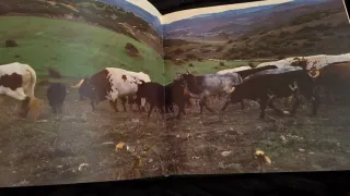 Libro Torrestrella Álvaro Domecq Toros & Caballos