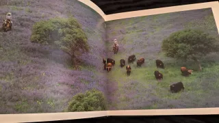 Libro Torrestrella Álvaro Domecq Toros & Caballos