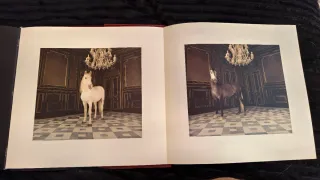 Libro Torrestrella Álvaro Domecq Toros & Caballos